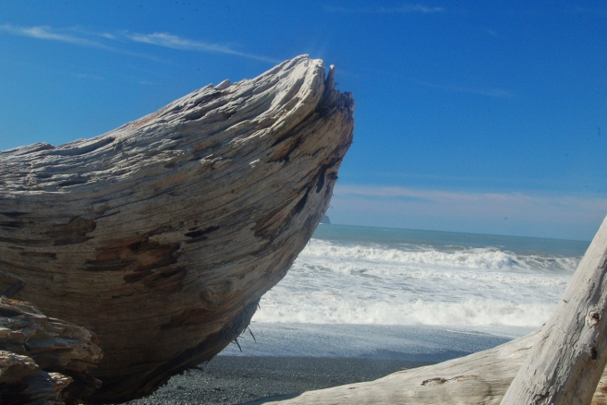 driftwood on Rialto Beach, Washington